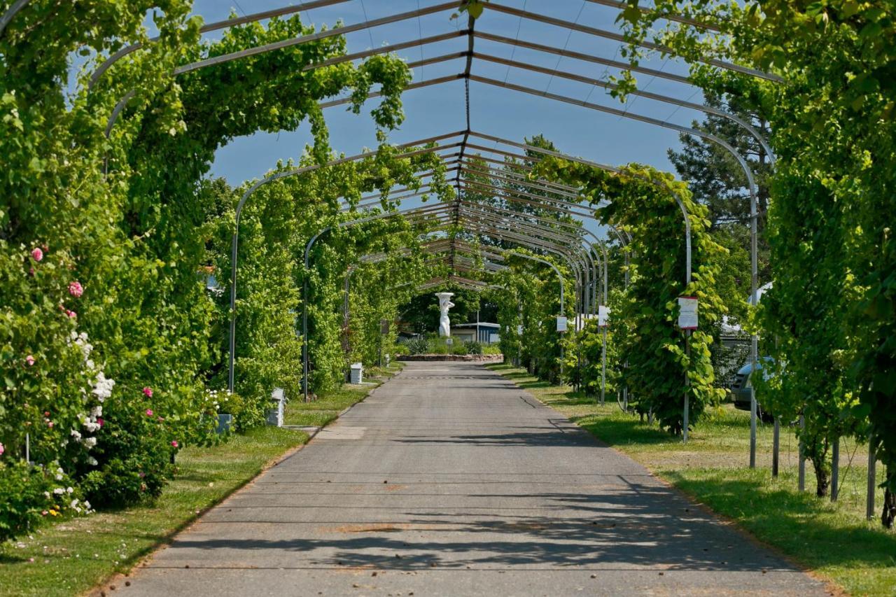 Knaus Campingpark Bad Dürkheim Eksteriør billede